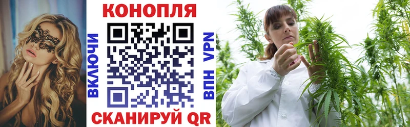 Каннабис сатива  Нолинск 